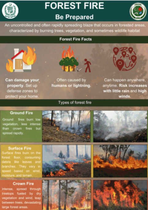 Forest Fire Guidelines